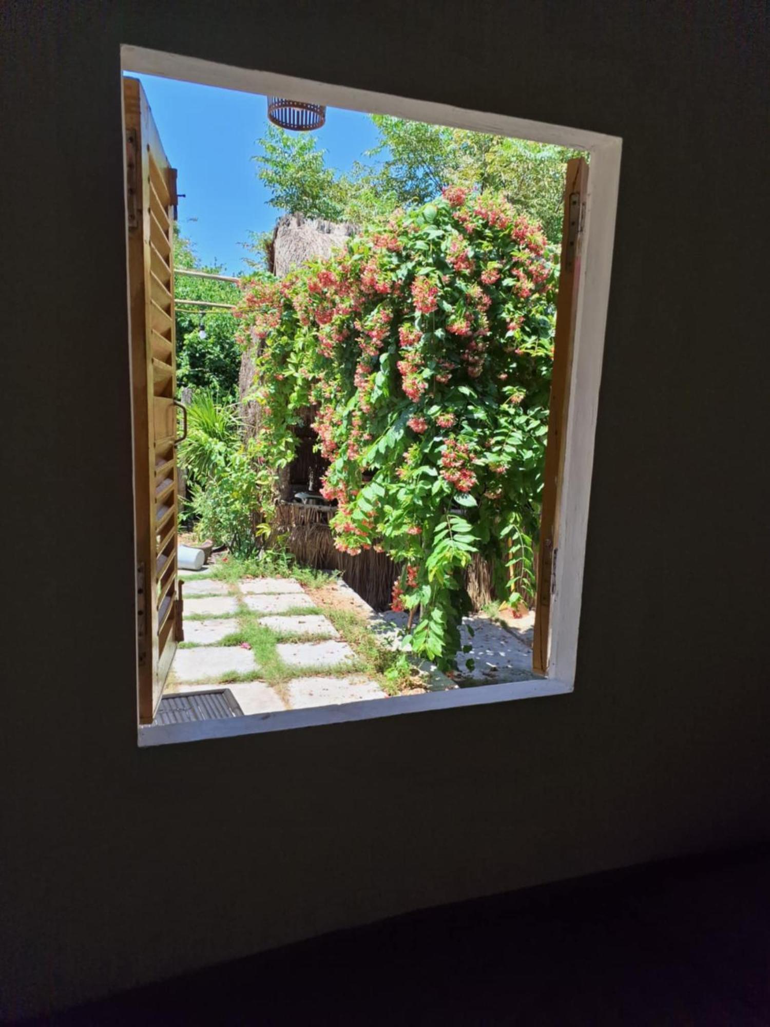 Homestay Dat Phu توي هوا المظهر الخارجي الصورة