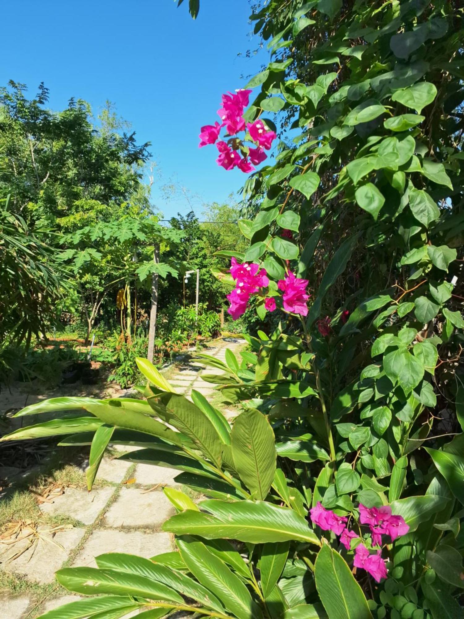 Homestay Dat Phu توي هوا المظهر الخارجي الصورة
