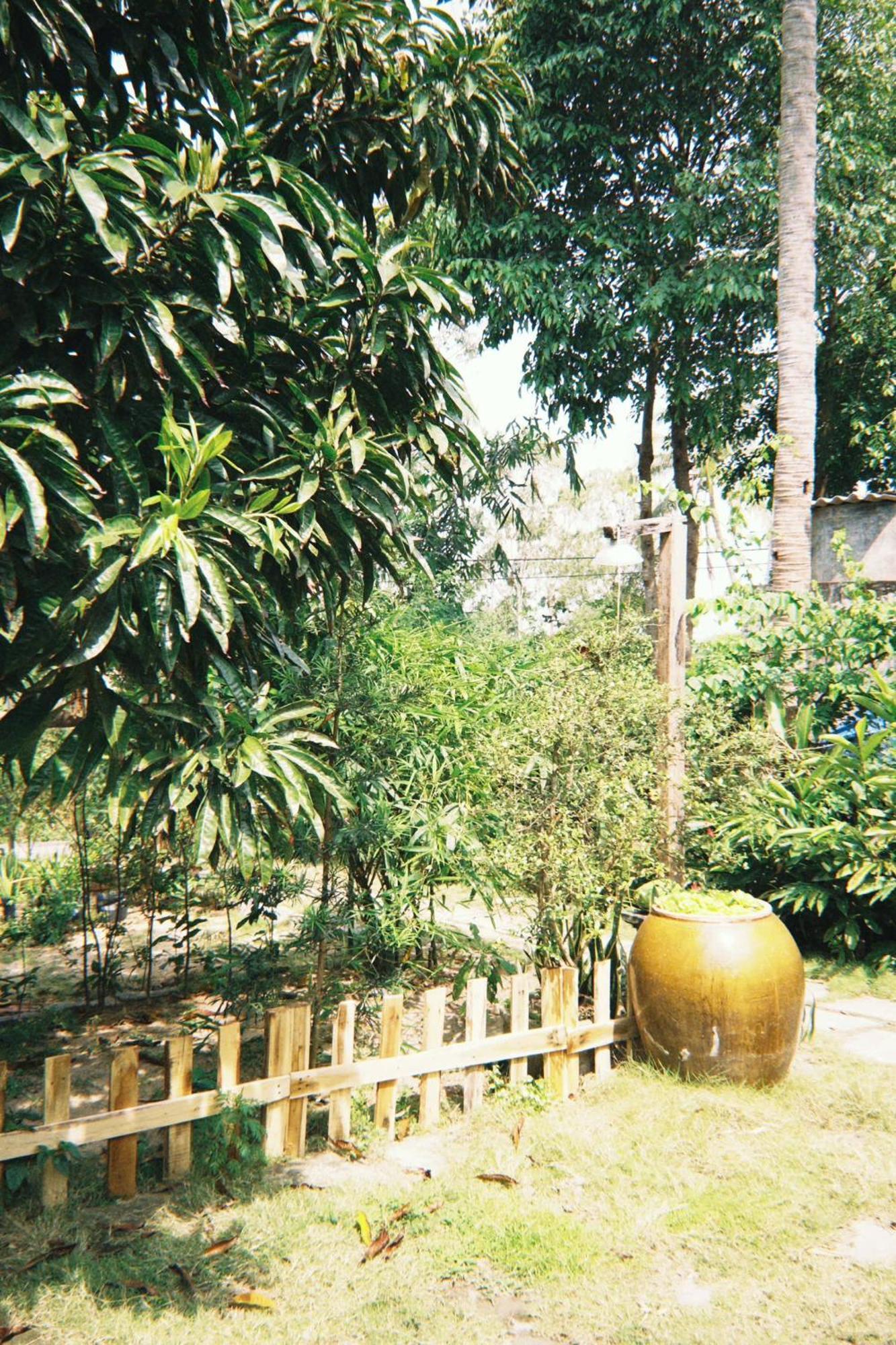 Homestay Dat Phu توي هوا المظهر الخارجي الصورة